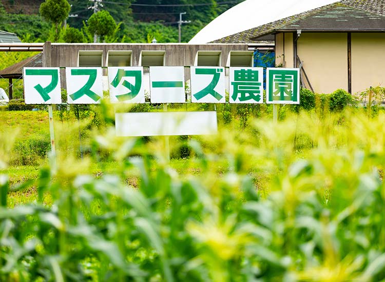 グリーンランドみずほ 瑞穂マスターズ農園