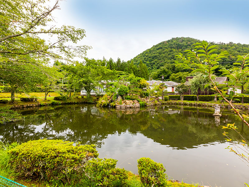 風景ギャラリー